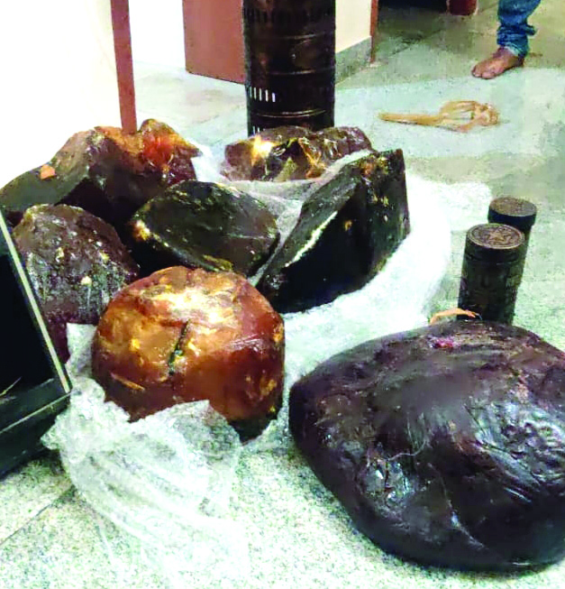 ബംഗളൂരുവിൽ 80 കോടിയുടെ തിമിംഗല ഛർദിയുമായി അഞ്ചു പേർ പിടിയിൽ