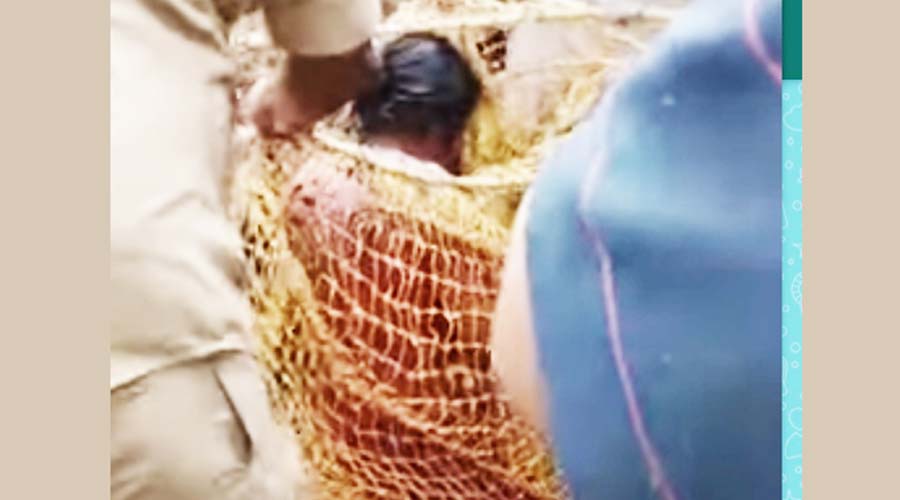 കിണറ്റിൽ വീണ സ്ത്രീയെ രക്ഷപ്പെടുത്തി കിണറ്റിൽ വീണ സ്ത്രീയെ രക്ഷപ്പെടുത്തി