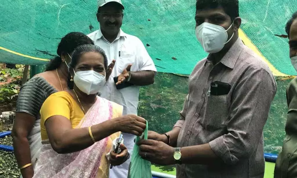 ഫിഷറീസ് വകുപ്പിെൻറ സഹകരണത്തോടെ കർഷകൻ നേട്ടം കൊയ്തു; ഒറ്റദിനം വിറ്റത് അരലക്ഷം രൂപയുടെ മത്സ്യം ഫിഷറീസ് വകുപ്പിെൻറ സഹകരണത്തോടെ കർഷകൻ നേട്ടം കൊയ്തു; ഒറ്റദിനം വിറ്റത് അരലക്ഷം രൂപയുടെ മത്സ്യം