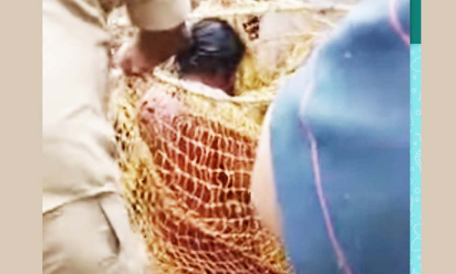 കി​ണ​റ്റി​ൽ വീ​ണ സ്ത്രീ​യെ ര​ക്ഷ​പ്പെ​ടു​ത്തി