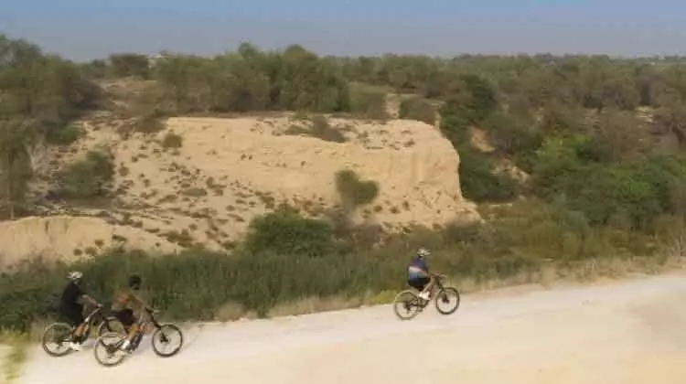 കാത്തിരിക്കൂ, ദുബൈയിൽ വനത്തിലൂടെ സൈക്കിളോടിക്കാം കാത്തിരിക്കൂ, ദുബൈയിൽ വനത്തിലൂടെ സൈക്കിളോടിക്കാം