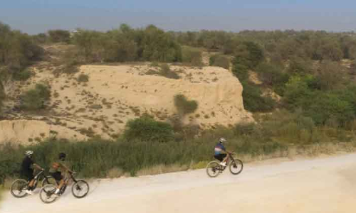 കാത്തിരിക്കൂ, ദുബൈയിൽ വനത്തിലൂടെ സൈക്കിളോടിക്കാം കാത്തിരിക്കൂ, ദുബൈയിൽ വനത്തിലൂടെ സൈക്കിളോടിക്കാം