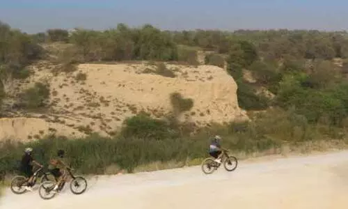 കാത്തിരിക്കൂ, ദുബൈയിൽ വനത്തിലൂടെ സൈക്കിളോടിക്കാം