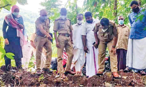 ഒ​ടു​വി​ൽ പു​ലി വീ​ട്ടു​മു​റ്റ​ത്ത്: ഉ​റ​ക്കം ന​ഷ്​​ട​പ്പെ​ട്ട് അ​ല​ന​ല്ലൂ​ർ