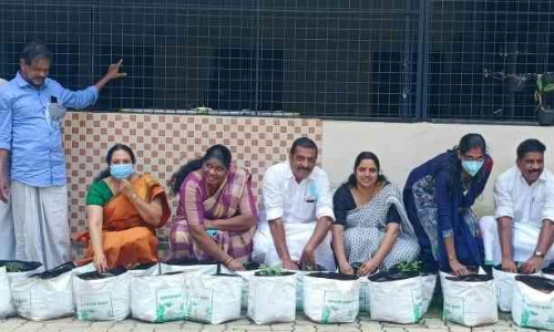 Choornikkara Panchayath Vegetable Farming