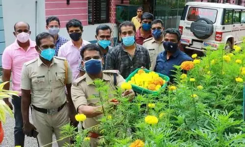 ചെണ്ടുമല്ലി കൃഷിയിൽ​ നൂറ്​ മേനിയുമായി​ പൊലീസ്​ മാമൻമാർ; പൂക്കൾ നിർധനരായ കുട്ടികൾക്ക്​