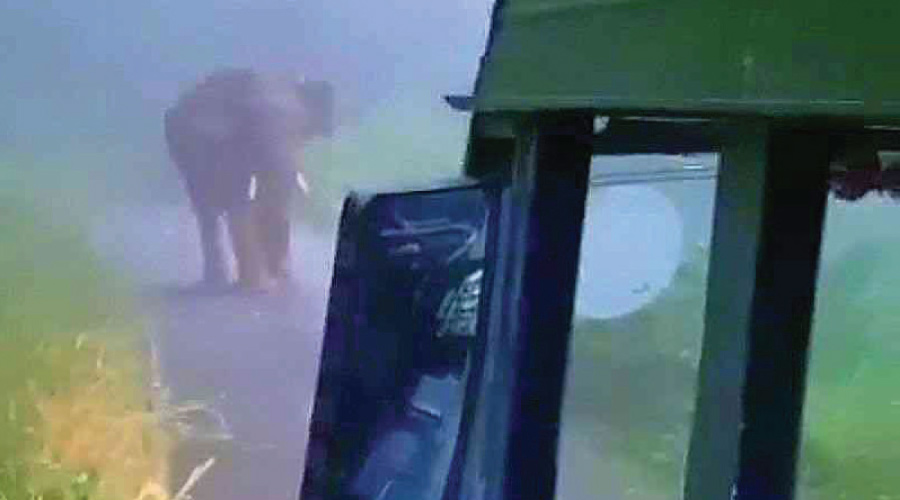 ആനമല പാതയിൽ കാട്ടാനയും ആനവണ്ടിയും മുഖാമുഖം ആനമല പാതയിൽ കാട്ടാനയും ആനവണ്ടിയും മുഖാമുഖം