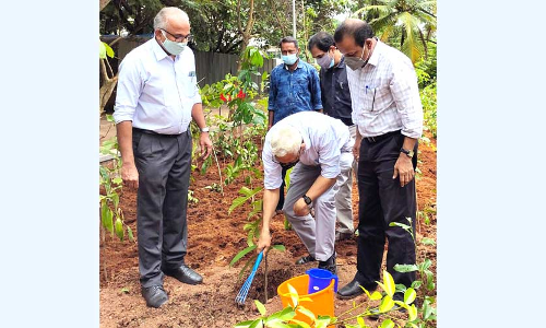 കണ്ണൂർ സർവകലാശാലയിൽ മിയാവാക്കി വനം ഒരുങ്ങുന്നു