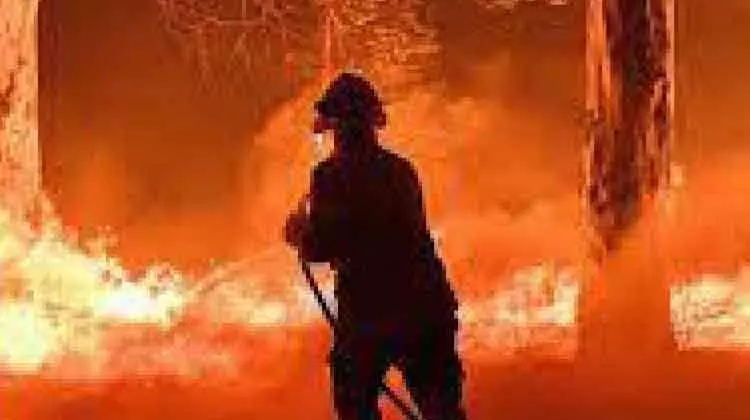 തി​രു​വി​ല്വാ​മ​ല​യി​ൽ തു​ണി​ക്ക​ട​യി​ൽ തീ​പി​ടി​ത്തം