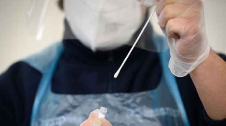 വിദ്യാർഥികൾക്ക് പി.സി.ആർ പരിശോധന സൗജന്യം വിദ്യാർഥികൾക്ക് പി.സി.ആർ പരിശോധന സൗജന്യം