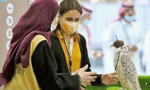 റിയാദിലെ ഫാൽക്കൺ മേള വേറിട്ട അനുഭവം –ഫ്രഞ്ച് ഫാൽക്കണർ സാന്ദ്ര ബോഹെം