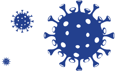 കോവിഡ്​: പുതിയ രോഗികൾ 221