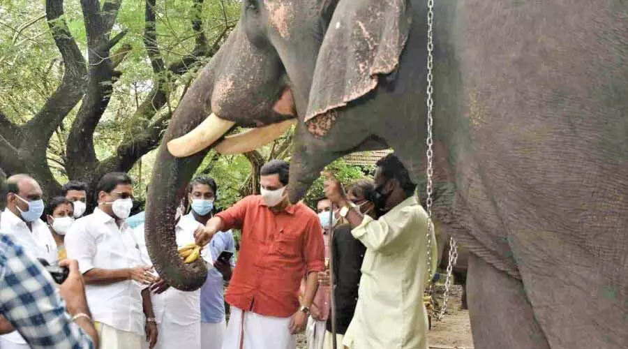 അയ്യപ്പന്‍കുട്ടിക്ക് മന്ത്രിയുടെ കോംപ്ലിമെൻറ്; പിന്നെ ഒരു പടല പഴവും