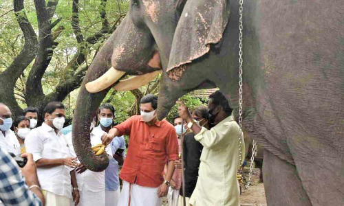 അയ്യപ്പന്‍കുട്ടിക്ക് മന്ത്രിയുടെ കോംപ്ലിമെൻറ്; പിന്നെ ഒരു പടല പഴവും