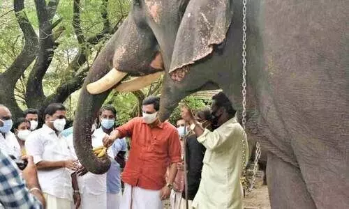 അയ്യപ്പന്‍കുട്ടിക്ക് മന്ത്രിയുടെ കോംപ്ലിമെൻറ്; പിന്നെ ഒരു പടല പഴവും