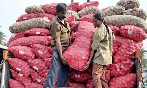 ജീവിതപ്പാച്ചിലിൽ ഒരുമയോടെ വളയംപിടിച്ച്​ തമിഴ്​ ദമ്പതികൾ