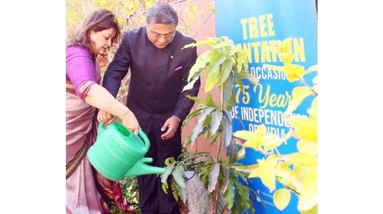 ഇന്ത്യ ഹൗസിൽ മാവിൻ തൈ നട്ടു ഇന്ത്യ ഹൗസിൽ മാവിൻ തൈ നട്ടു