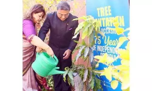 ഇ​ന്ത്യ ഹൗ​സി​ൽ മാ​വി​ൻ തൈ ​ന​ട്ടു