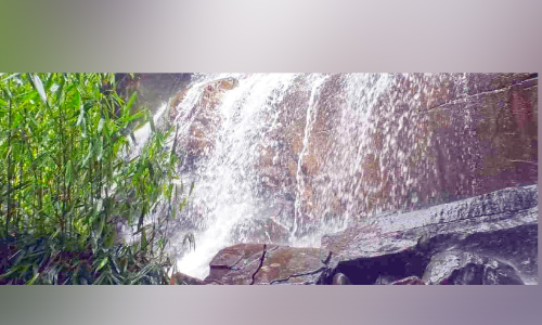 ക​​ണ്ണി​​ന്​ ആ​​ന​​ന്ദ​​മാ​​യി ആ​​ന​​റ വെ​​ള്ള​​ച്ചാ​​ട്ടം