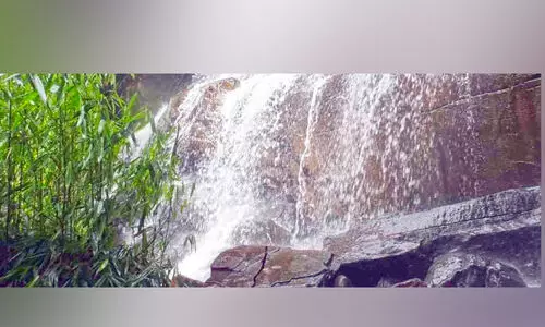 ക​​ണ്ണി​​ന്​ ആ​​ന​​ന്ദ​​മാ​​യി ആ​​ന​​റ വെ​​ള്ള​​ച്ചാ​​ട്ടം