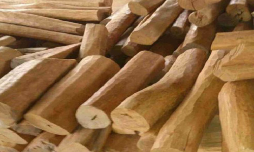 എ​ട​ക്ക​ഴി​യൂ​രി​ൽ​നി​ന്ന് മു​റി​ച്ചു​ക​ട​ത്തി​യ ച​ന്ദ​ന​മ​ര​മെ​വി​ടെ? കേ​സെ​ടു​ക്കാ​തെ പൊ​ലീ​സ്