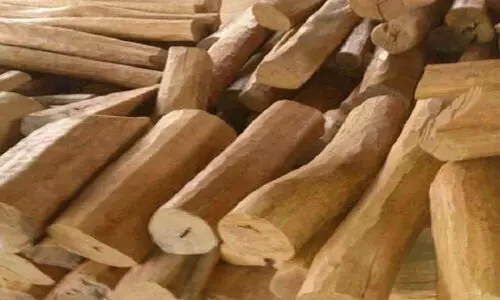 എ​ട​ക്ക​ഴി​യൂ​രി​ൽ​നി​ന്ന് മു​റി​ച്ചു​ക​ട​ത്തി​യ ച​ന്ദ​ന​മ​ര​മെ​വി​ടെ? കേ​സെ​ടു​ക്കാ​തെ പൊ​ലീ​സ്