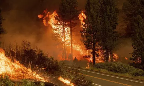 കാലാവസ്ഥാമാറ്റം: െഎ​.പി.സി.സി റിപ്പോർട്ടും നമ്മുടെ യാഥാർഥ്യങ്ങളും