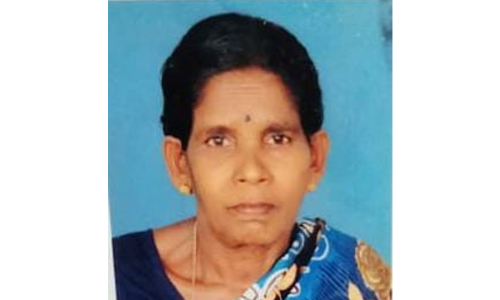 ചക്കിക്കുട്ടി