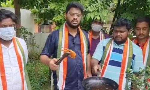 ‘Twitter bird’ fry