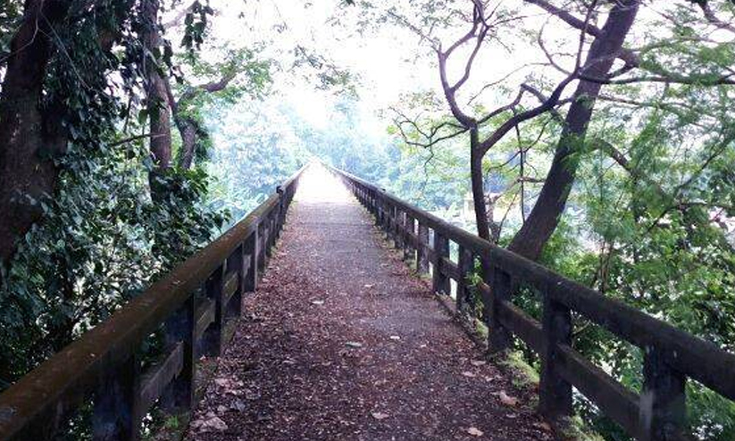 premam bridge premam bridge