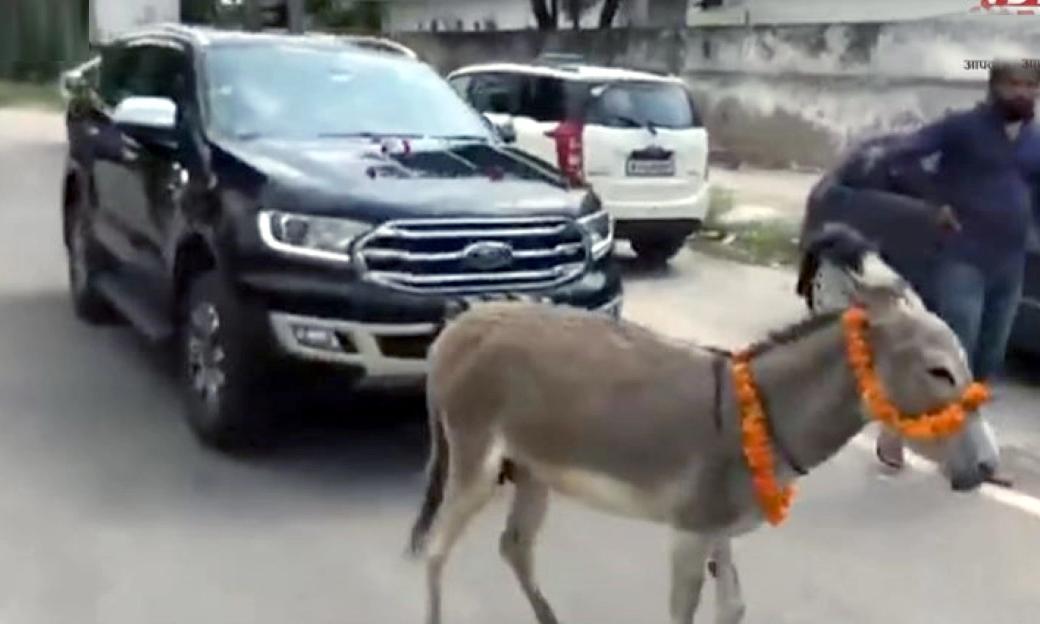 Donkey pulls Ford Endeavour to dealership after faulty car delivered for second time Donkey pulls Ford Endeavour to dealership after faulty car delivered for second time
