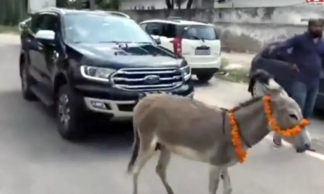 Donkey pulls Ford Endeavour to dealership after faulty car delivered for second time