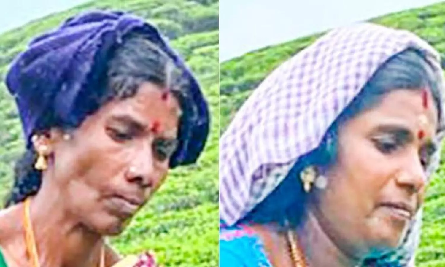 അധ്വാന മികവിന്​ ദേശീയ പുരസ്​കാരം; അഭിമാനമായി മഹേശ്വരിയും രാജകുമാരിയും