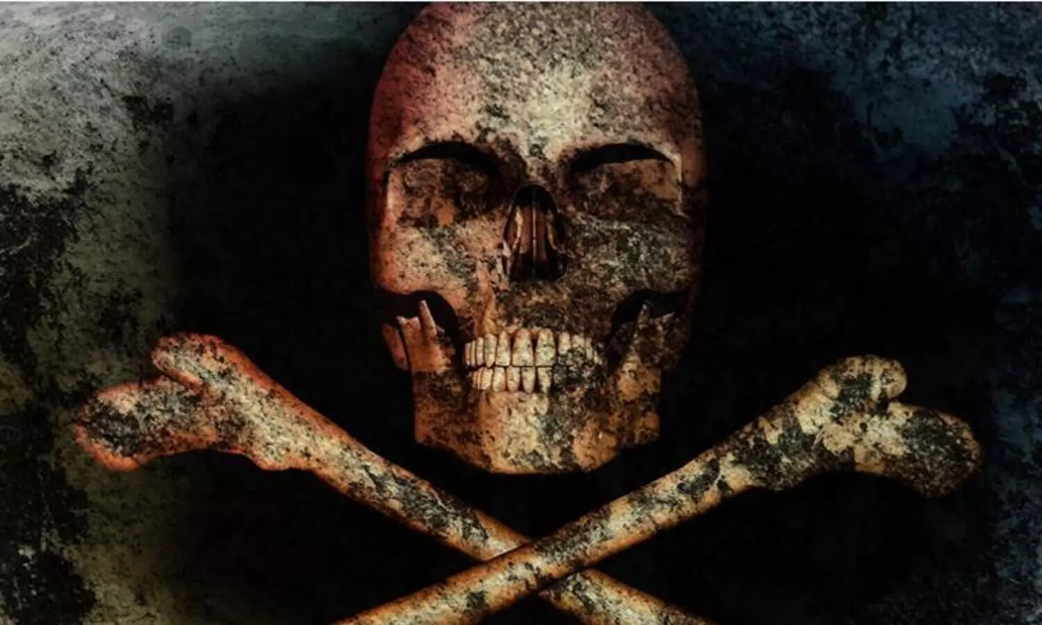 തലയോട്ടിയും അസ്ഥികളും ലഭിച്ച സംഭവം: കേസെടുത്തു, ചെ​മ്മ​ന​ത്തു​ക​ര​യി​ൽ കാ​ണാ​താ​യ​വ​രു​ടെ പ​ട്ടി​ക പൊ​ലീ​സ് ത​യാ​റാ​ക്കുന്നു