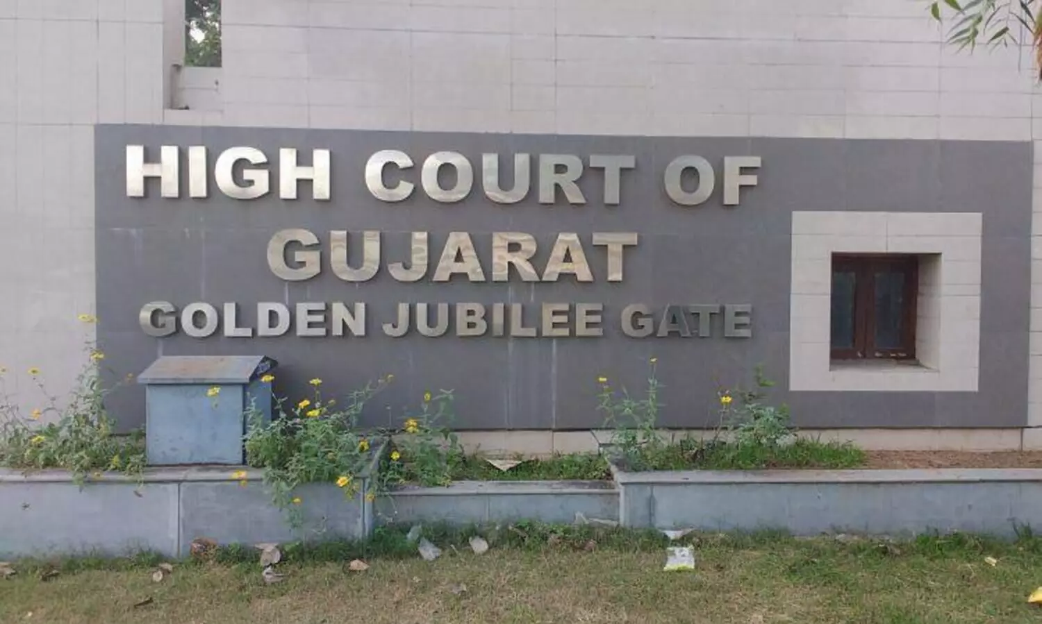 gujarat high court 19821