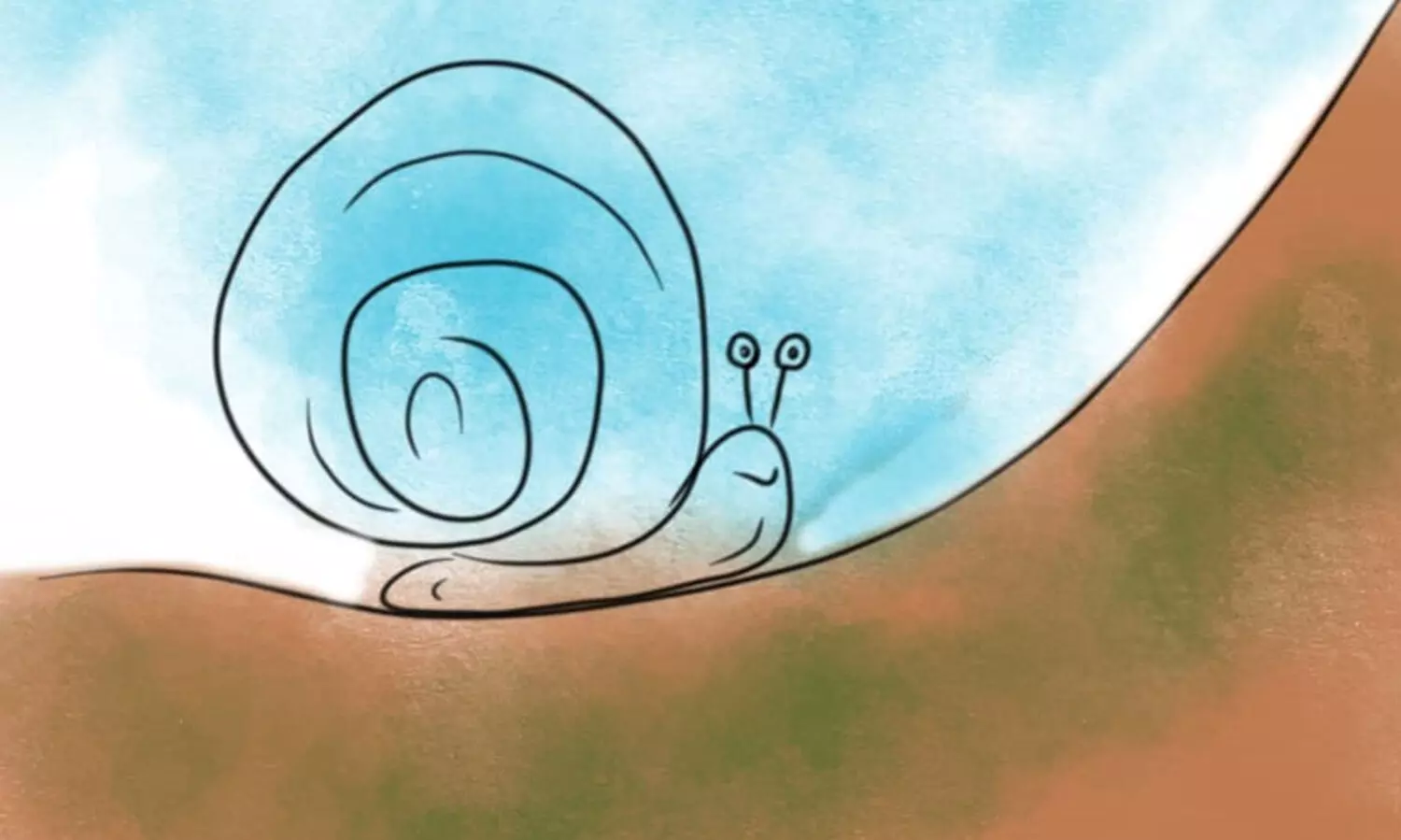 snail