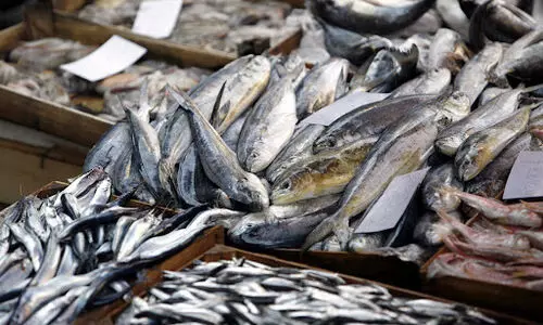 പുൽപള്ളിയിലെ മത്സ്യ-മാംസ മാർക്കറ്റ്​: വിവാദം മുറുകുന്നു