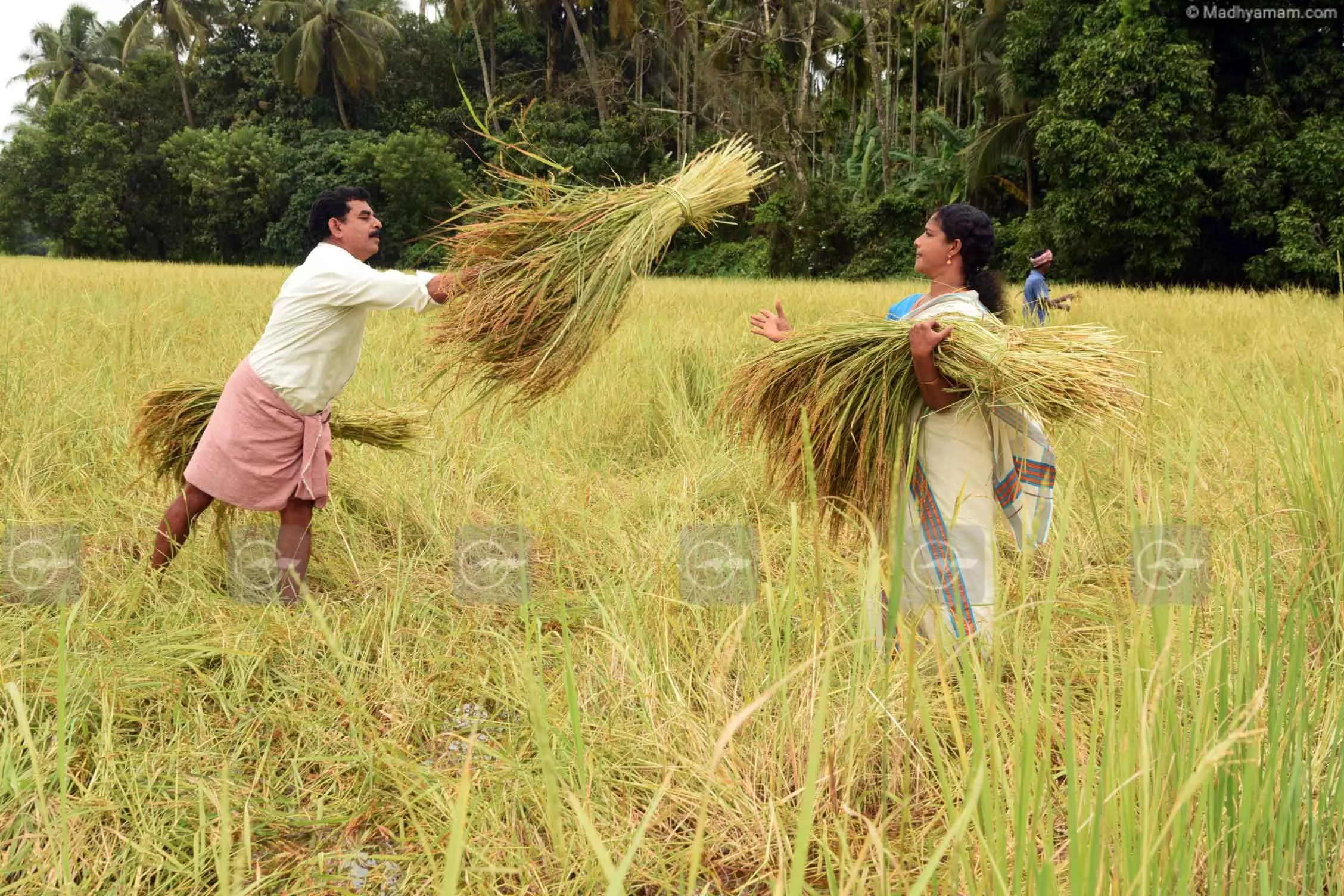 കരുതലോണം പൊന്നോണം