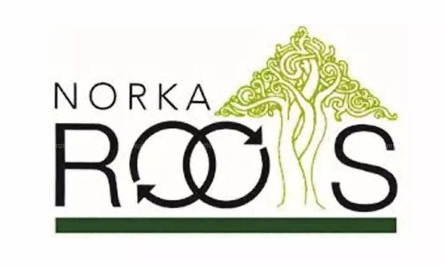 norka roots