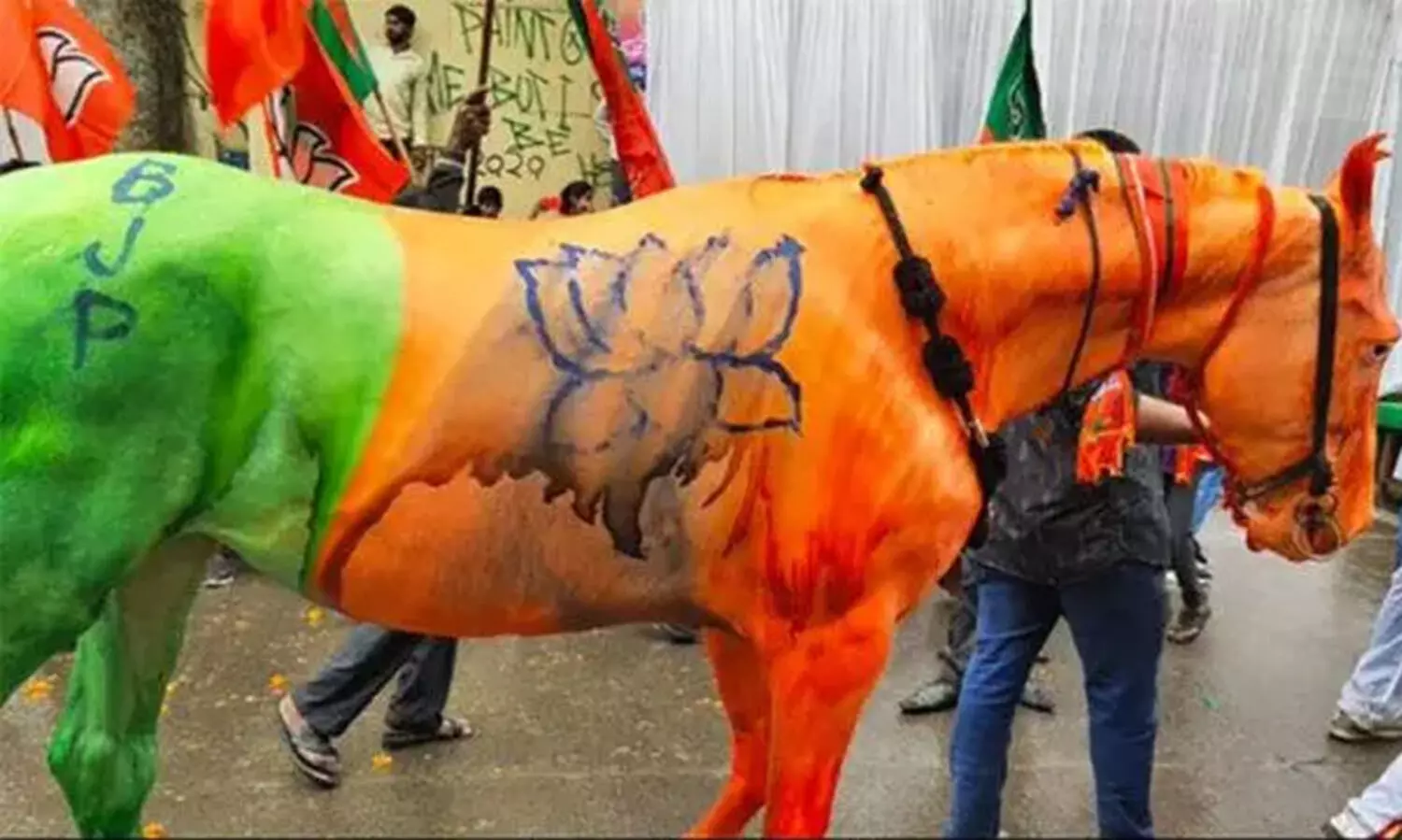Horse BJP Flag
