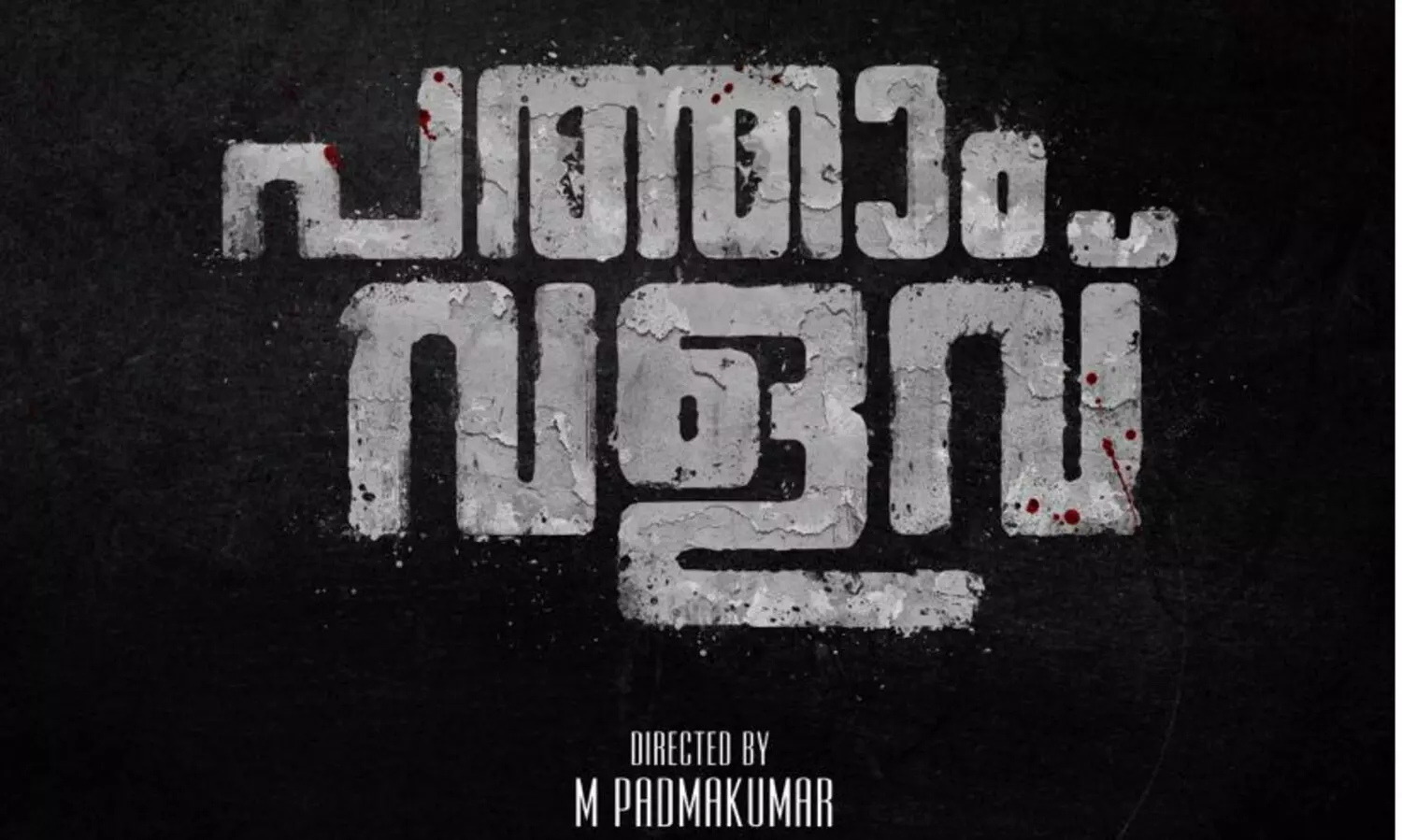 എം. പദ്മകുമാറി​െൻറ ഫാമിലി ത്രില്ലർ പത്താം വളവ്; ടൈറ്റിൽ പോസ്റ്റർ പുറത്ത്​