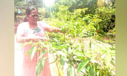 Valsala is more friendly with agriculture