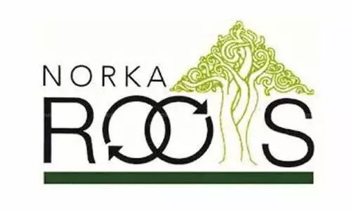 norka roots