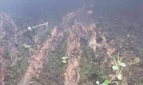 ദേശീയപാത വികസനം: സ്​ഥലം അളക്കാൻ  ഭൂവുടമകളിൽ നിന്ന് പണം ഈടാക്കുന്നതായി പരാതി