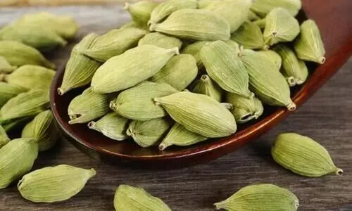 cardomom