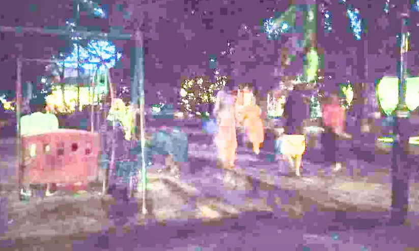 ഫോർട്ട്​കൊച്ചി കുട്ടികളുടെ പാർക്കിൽ പാമ്പുശല്യം രൂക്ഷം