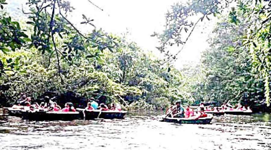 അടവിയിലും ആങ്ങമൂഴിയിലും െകാട്ടവഞ്ചി സവാരി പുനരാരംഭിച്ചു അടവിയിലും ആങ്ങമൂഴിയിലും െകാട്ടവഞ്ചി സവാരി പുനരാരംഭിച്ചു