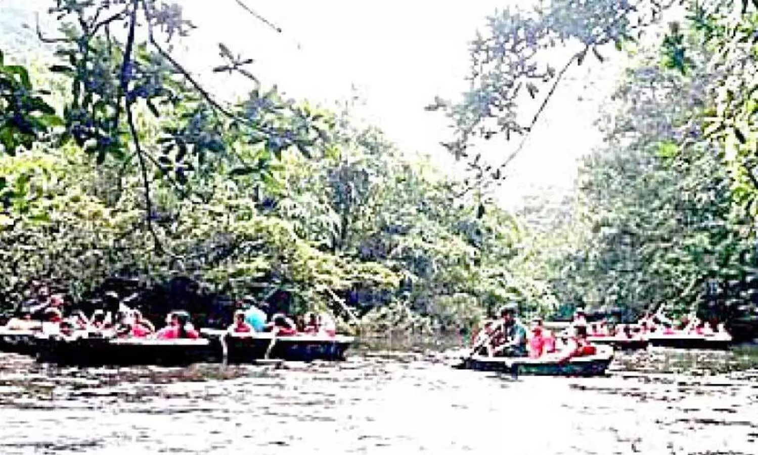 അടവിയിലും ആങ്ങമൂഴിയിലും ​െകാട്ടവഞ്ചി സവാരി പുനരാരംഭിച്ചു