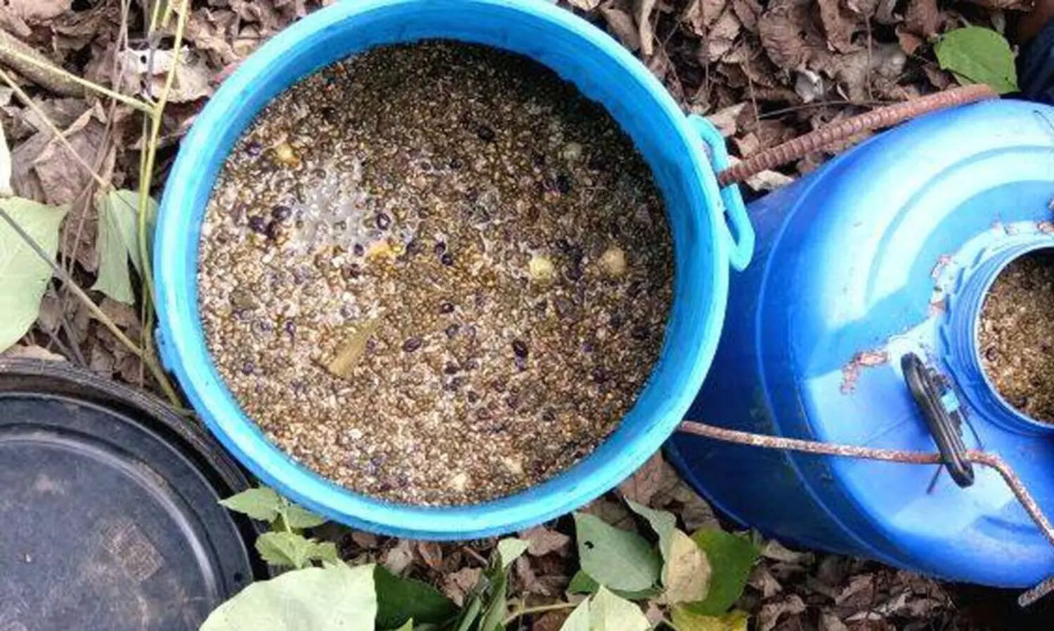 വാ​ഷും വാ​റ്റു​പ​ക​ര​ണ​ങ്ങ​ളും പി​ടി​ച്ചെ​ടു​ത്തു