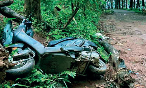 നാ​ട്ടി​ലി​റ​ങ്ങി​യ കാ​ട്ടാ​ന സ്കൂ​ട്ട​ർ ത​ക​ർ​ത്തു